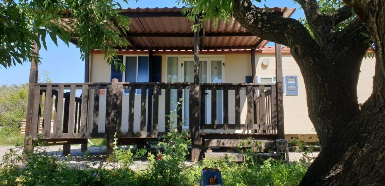 The Farm Tiny House - Tiny Casa Hotel Чиклана де ла Фронтера Екстериор снимка